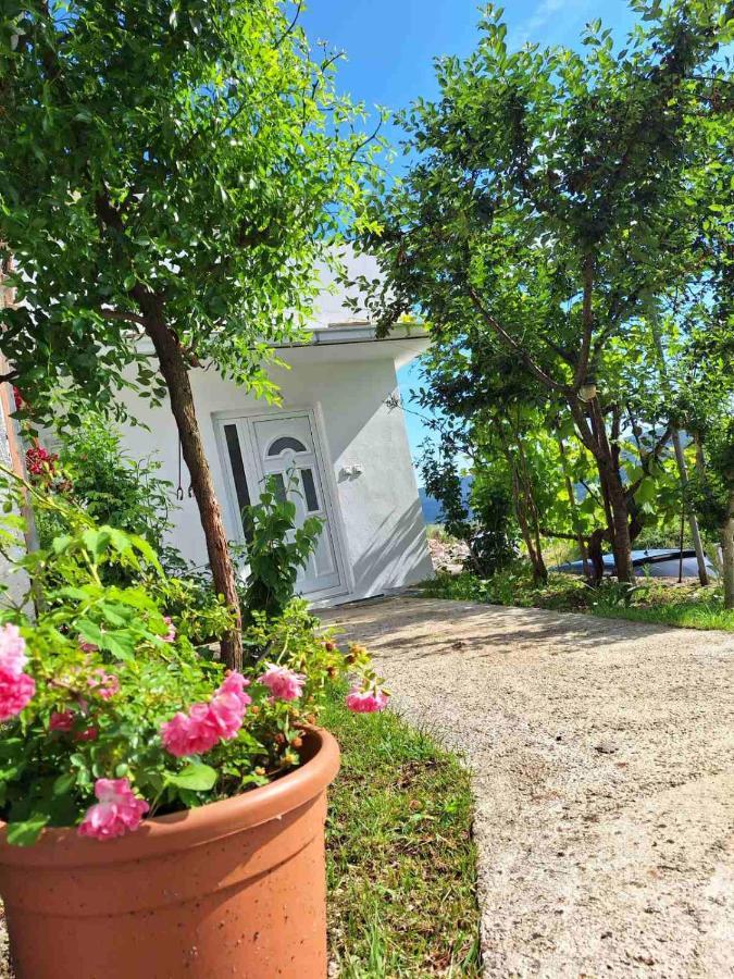 Apartman Glorija Kotor Exterior photo